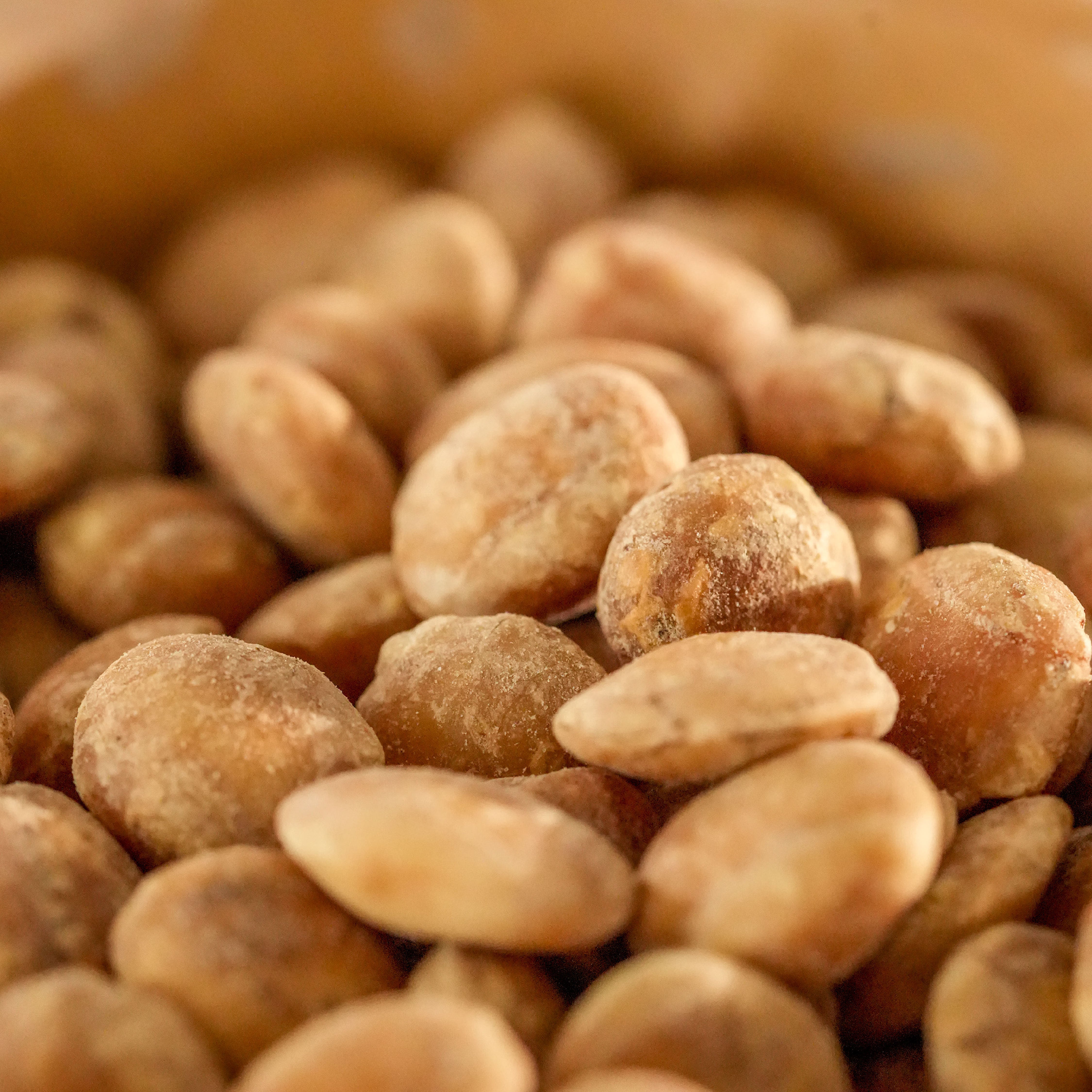 Organic Roasted Sacha Inchi Nuts